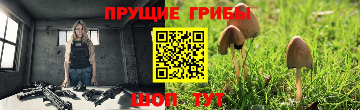 Боровичи  Галлюциногенные грибы Cubensis  Галлюциногенные грибы GOLDEN TEACHER  Вход с VPN 
